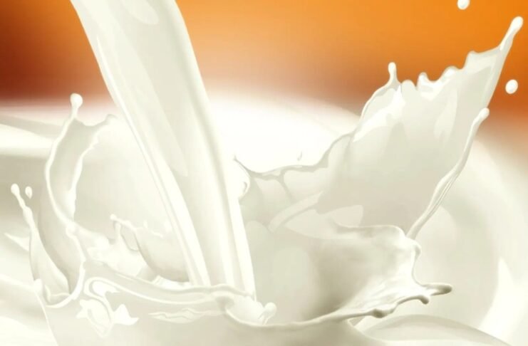 Milk Price Hike, Nandini Milk Price, Karnataka Government, Nandini Milk New Rate, Milk Price