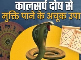 Nag Panchami 2024