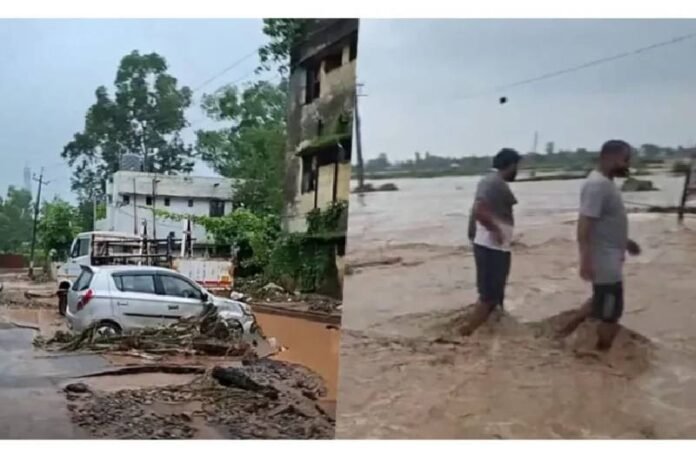 Kathua News