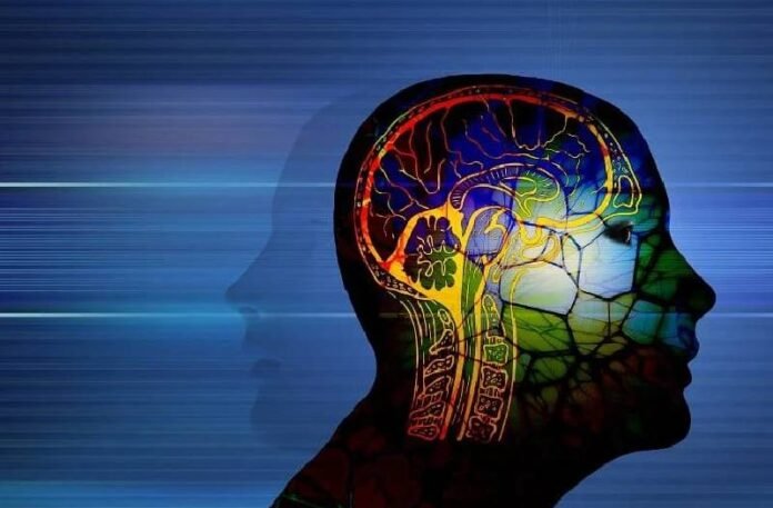 Brain In Dark