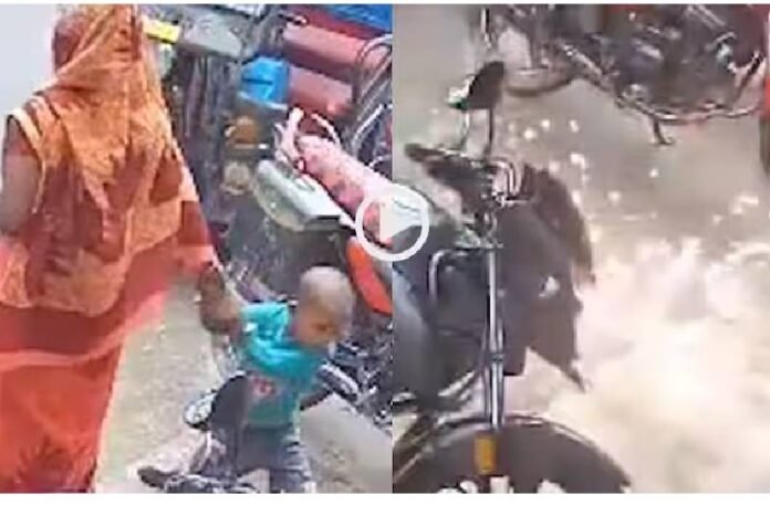 Kishanganj Viral Video_