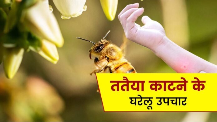 मधुमक्खी