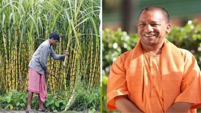 गन्ना किसान