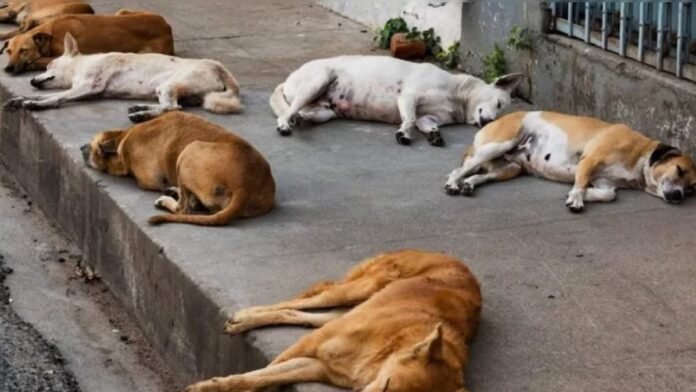 तेलंगाना