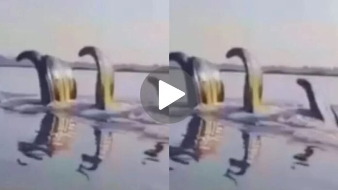 वृंदावन