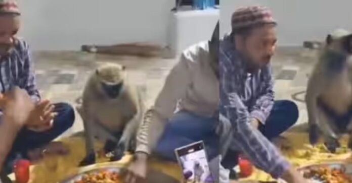 वीडियो वायरल