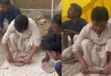 स्टारडम छोड़ रसोई में उतरे राजपाल यादव! भतीजी की शादी में ऐसा नज़ारा देख लोग रह गए हैरान राजपाल यादव