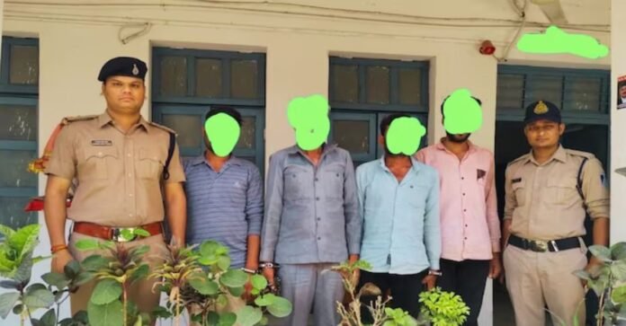 दुष्कर्म के आरोपी की हत्या