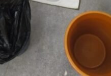 युवती ने टॉयलेट में दिया बच्चों को जन्म, फिर नवजात का गला काटकर कर दी हत्या, डस्टबिन में डाला शव डस्टबिन में डाला शव