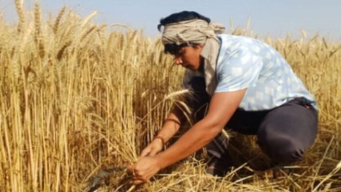 तान्या चौधरी