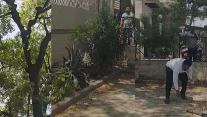 बुलंदशहर