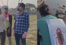 यमुना किनारे अचानक पहुंच गए ‘कॉकरोच’, फिर जो हुआ उसका वीडियो इंटरनेट पर मचा रहा तहलका कॉकरोच