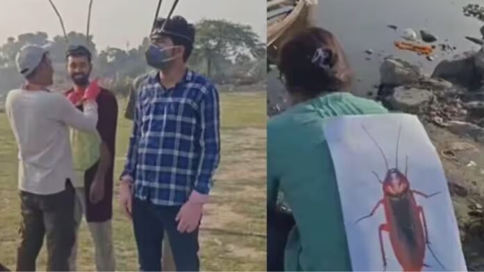 कॉकरोच