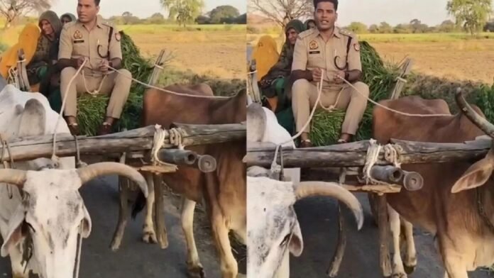 महोबा