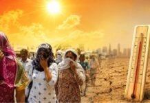 क्या गर्मी बन जाएगी “नई महामारी”? 5 दिन में 30,000 मौतों का डर, भारत में गर्मी को लेकर चौंकाने वाला खुलासा गर्मी