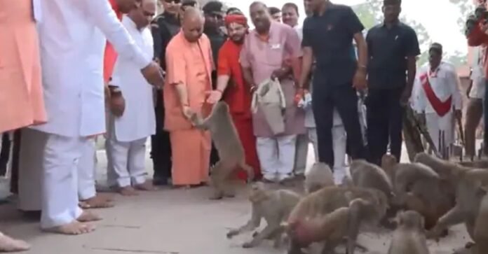 CM Yogi