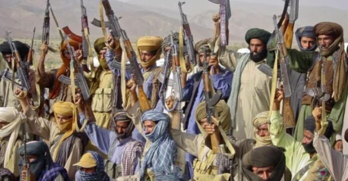 Terrorists