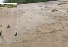 सहारनपुर में बारिश ने खोला तबाही का ऐसा राज, कब्रों से बाहर आए शव, नदी में समाई कार और मचा हड़कंप सहारनपुर