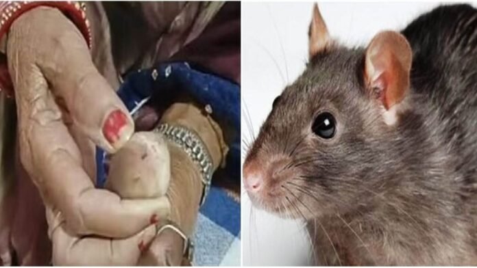 तमिलनाडु