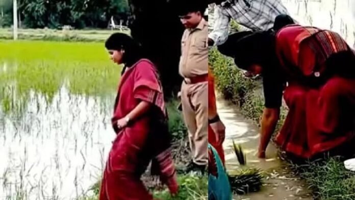 प्रिया सरोज