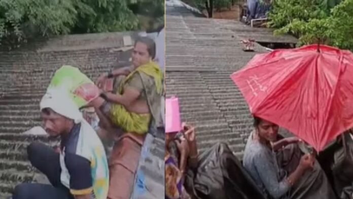 पालघर