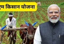 PM Kisan Yojana की 24वीं किस्त पर आया बड़ा अपडेट, जानें कब खाते में आएगें ₹2000? ऐसे चेक करें नाम PM Kisan Yojana