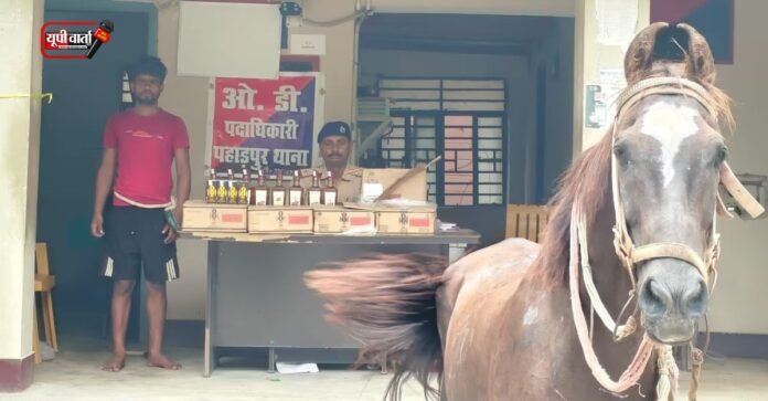 घोड़ा