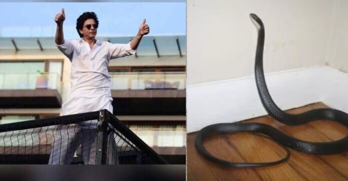 Shahrukh Khan