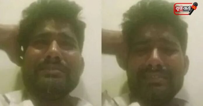 UP News