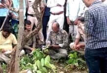 जंगल में मवेशी चराने गए किसान के साथ क्या हुआ? सुबह खून से लथपथ मिला शव किसान