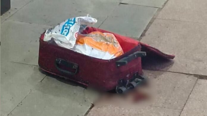 आगरा
