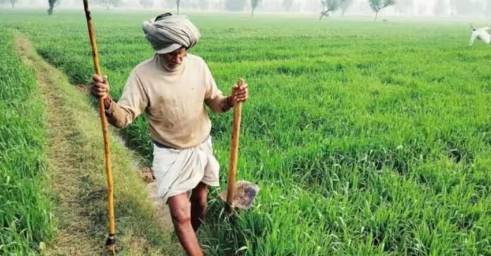 किसानों
