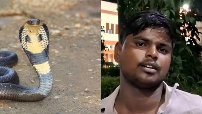 इटावा