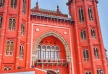 पत्नी या वोडाफोन का पिल्ला… हाईकोर्ट की इस टिप्पणी पर क्यों मचा बवाल? जानें पूरा मामला हाईकोर्ट