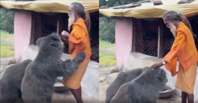 Viral Video