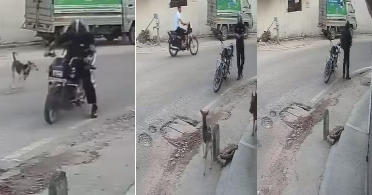 लखनऊ
